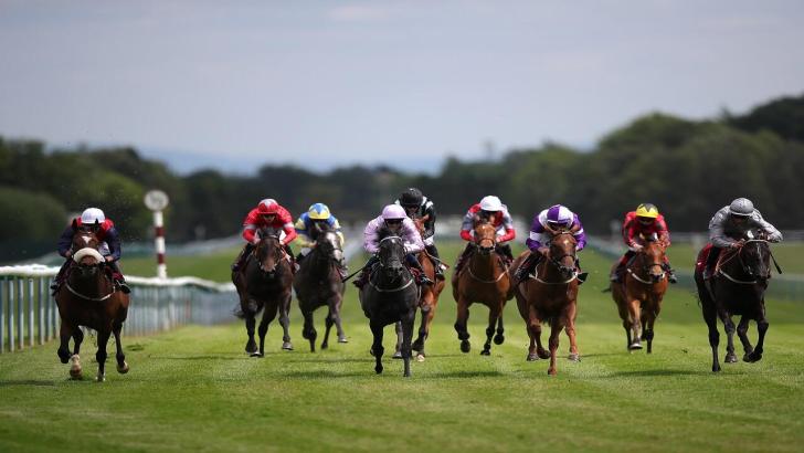 Haydock Betfair Sprint Cup
